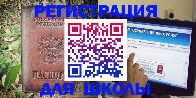 прописка для школы в Камчатской области